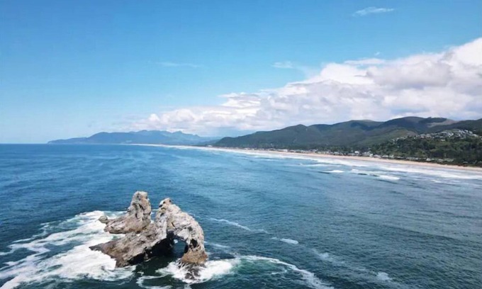 Nedonna Beach Cottage | The Rocky Whale - a pet friendly beach cottage.
