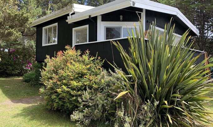 Ocean Park House | THE SEA STAR - Great Beach Escape