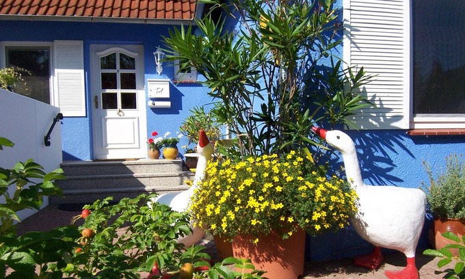 Hohwacht Apartment | The small villa with charm