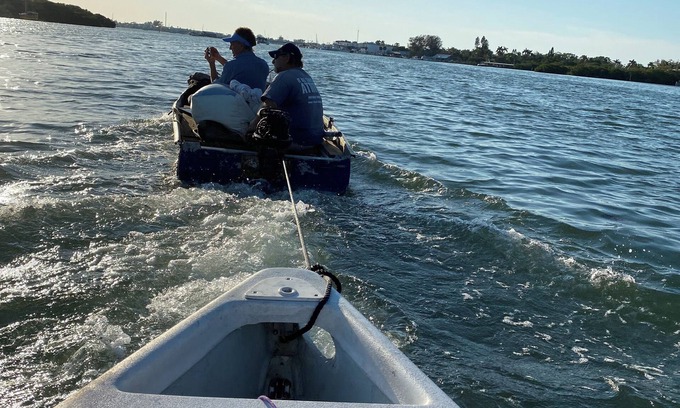 Whitney Beach Boat Rental | “The Spot”nGuaranteed Dolphin and Sea Life Sightings!