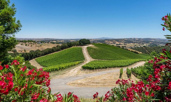 Paso Robles House | The Story Home | Copia Vineyards