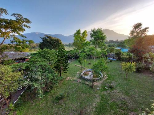 Masinagudi Resort | THE TIGER PAW RESORT