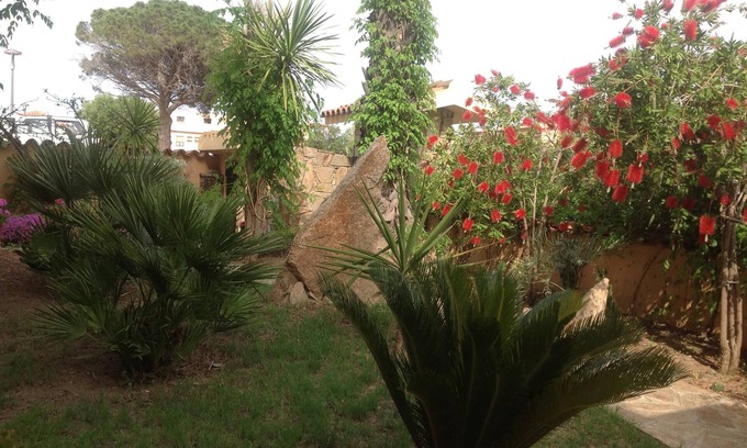 Siniscola House | The two palms from Angelo the cove n2