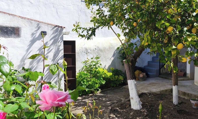 Canete la Real House | The Well House
