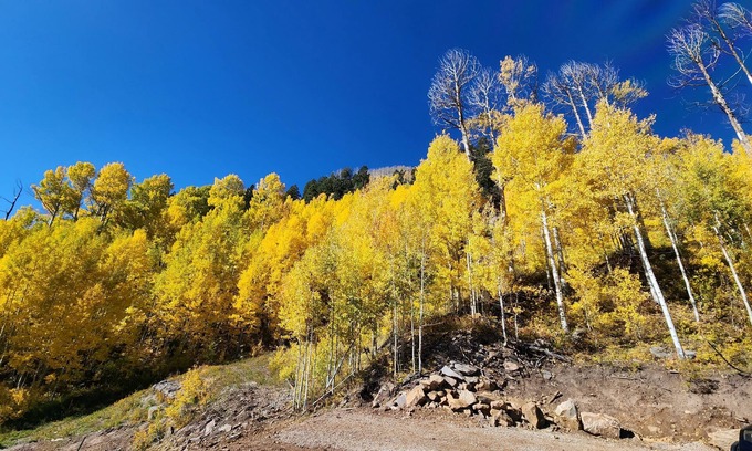 Silvercreek Condo | There's GOLD in Them Thar Hills