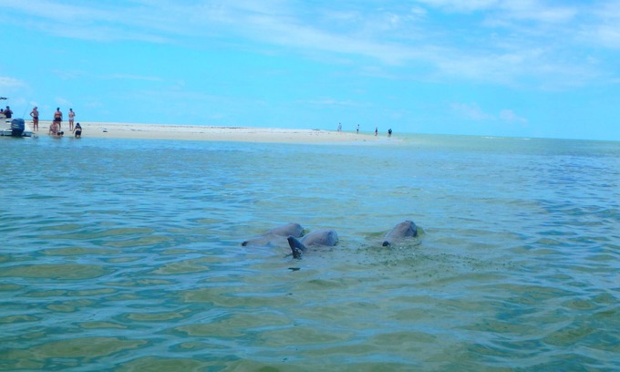 Marco Island Resort | This charming resort is in enchanting Marco Island with AC, WiFi, and 2 TVs