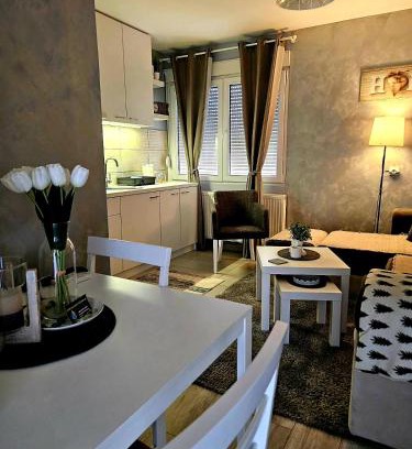 Pozarevac Apartment | TIHA VODA 4