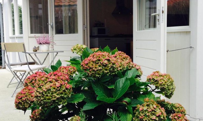 Zandvoort House | Tiny House Madame Jeanette