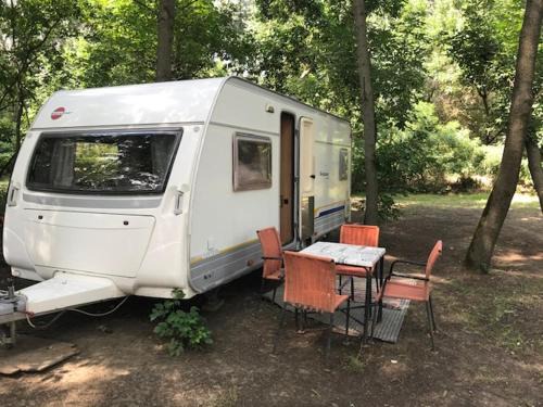 Szeged Other | Tisza-beach wild camping4