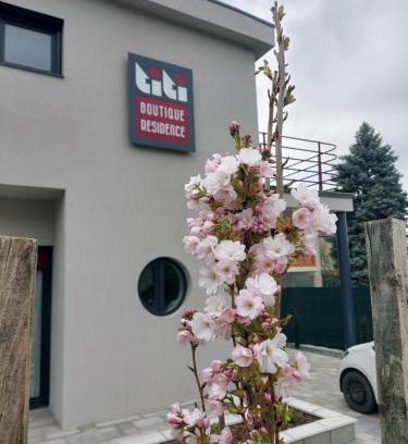 Bukfurdo House | Titi Boutique Apartmanok