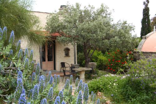 Paros House | To The Garden