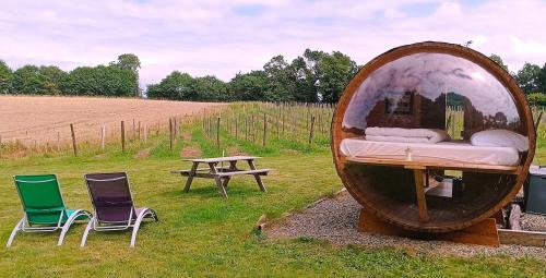 Pouldergat Other | Tonneau bulle insolite, vue sur vignoble