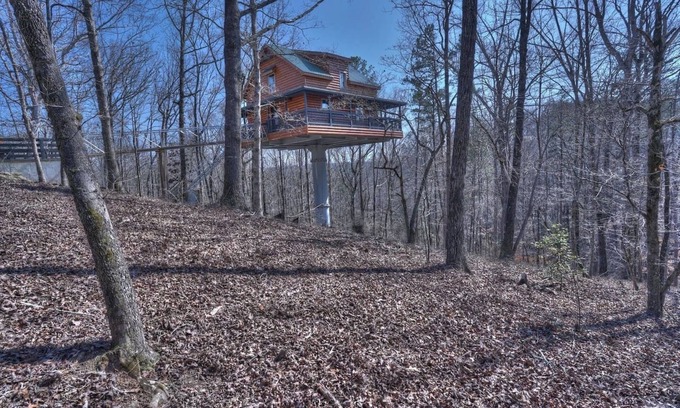 Cleveland Cabin | Top of the Line Treehouse Cabin