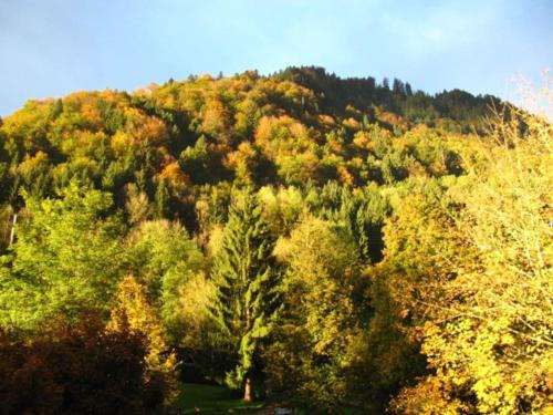 Immenstadt im Allgaeu Apartment | Top! Wohnung direkt am Fuß der Berge im Oberallgäu