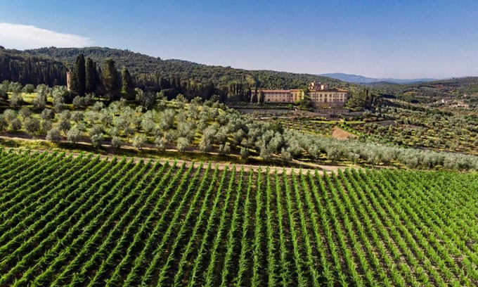 San Donato in Collina Hotel | Torre a Cona Wine Estate