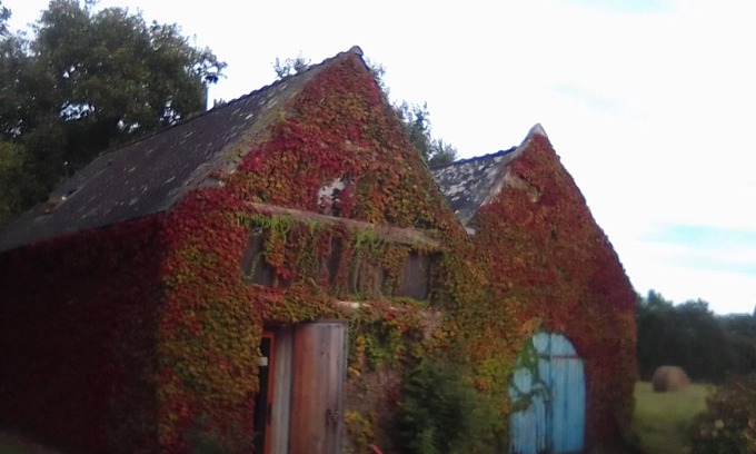 Carnac Cottage | Traditional stone house (renovated in 2022)