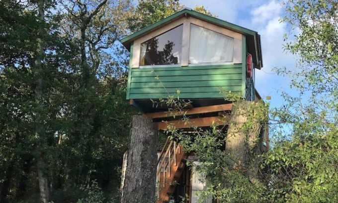 Liverton Other | Tree house and shepherds hut