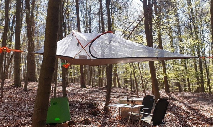 Solling Apartment | Tree tent beech - Baumhaushotel Solling