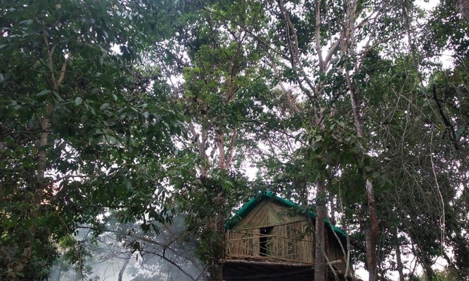 Kodaikanal House | Tree top bamboo cottage kodai