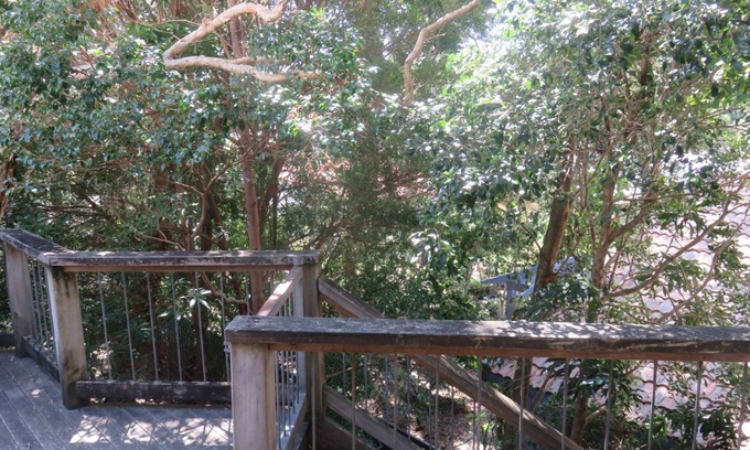 Arakoon House | TREEHOUSE - ARAKOON LARGE FAMILY HOME