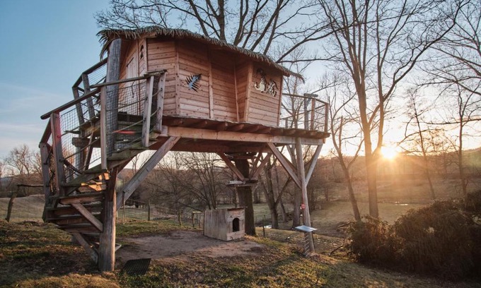 Nosetin Cabin | Treehouse Křemílek