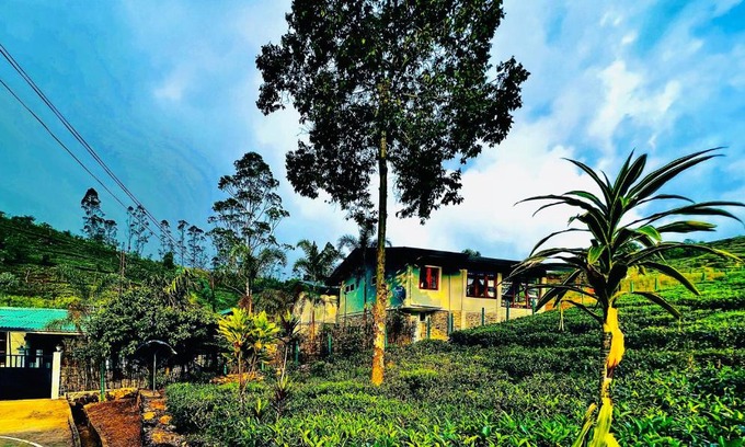 Hatton Hotel | Trinitons River side villas