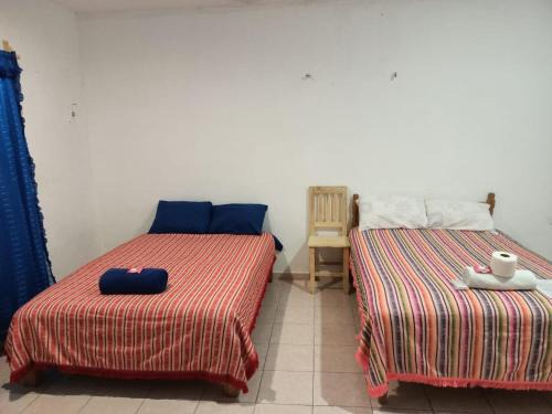 Luis Donaldo Colosio Apartment | Tucán