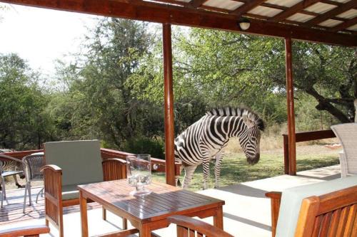Marloth Park Bed & Breakfast | Turaco Lodge - No Loadshedding