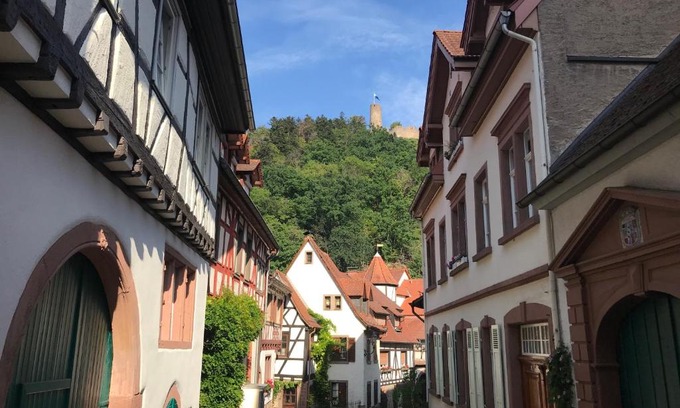 Weinheim Apartment | Turmwohnung Büdinger Hof