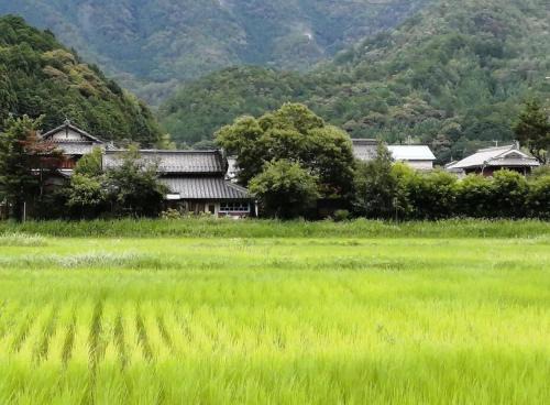 Tamba House | Twinkle Villa