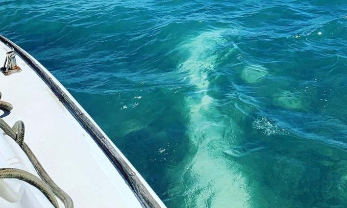 New Town Boat Rental | Unique stay aboard 40ft Sailing Yacht