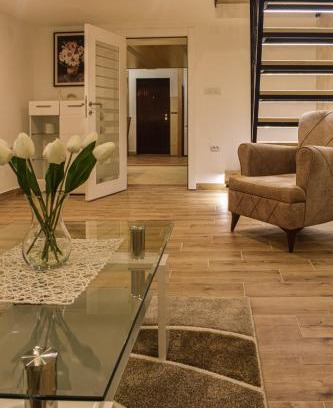 Vracar Apartment | Urban Duplex