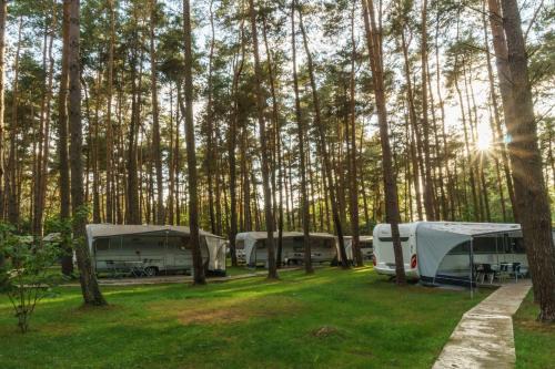 Luetow Other | Urlaub im Wohnwagen mitten im Wald