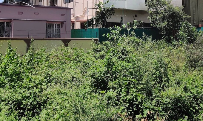 Siliguri House | Ushashee Amidst Nature ----- THE QUADRUPLE ROOM