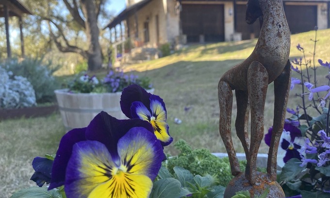 Marble Falls Villa | V700 Ranch: Guesthouse. Outstanding Views with Absolute Peace and Tranquility!