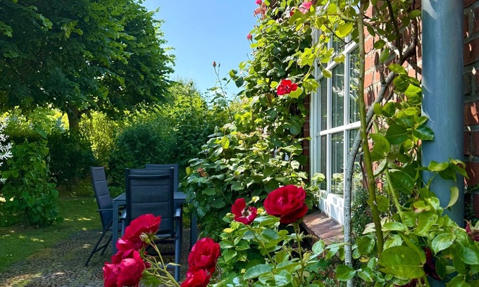 Oldsum Apartment | Vacation apartment/apartment for 4 guests with 60m² in Oldsum (105444)