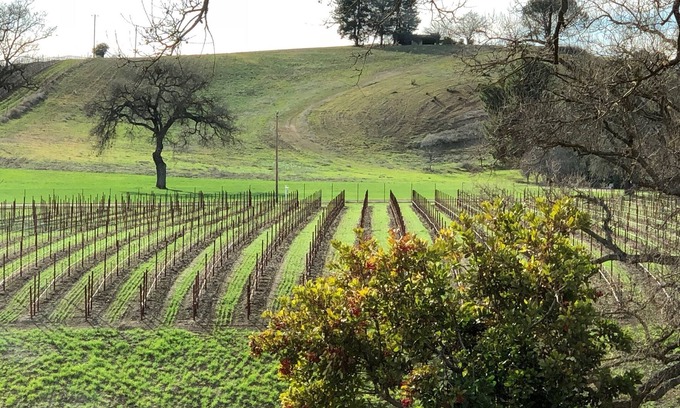 Paso Robles House | Vacation in the vineyard