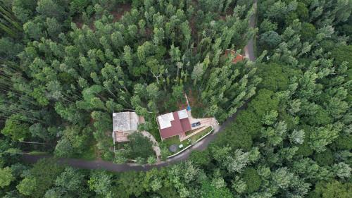 Yercaud Villa | Vamsi's Woodside
