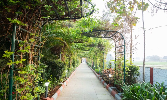 Narsapur Hotel | Vanam Resort