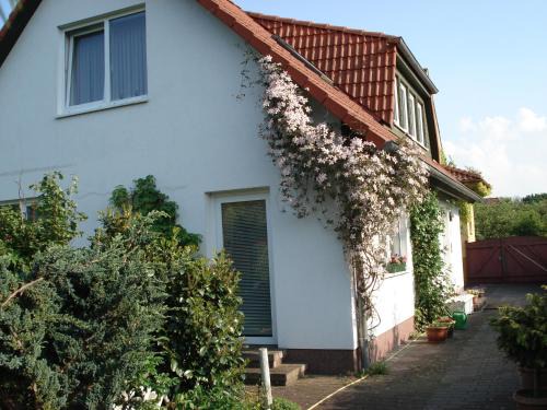 Stralsund Apartment | Vermietung Wenzel