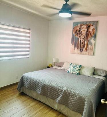 Guadalajara Municipality Apartment | Vico rose