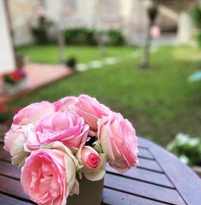 Pisa City Centre Bed & Breakfast | Victoria House B&B
