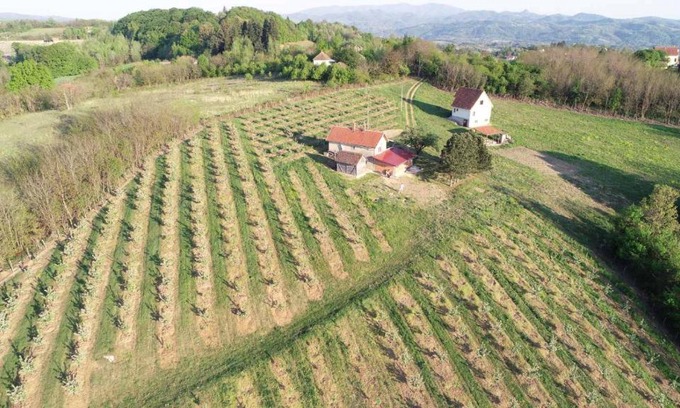 Mladenovac House | Vikend house
