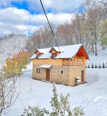 Sumadija House | Vikend kuca pod lipom