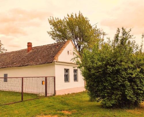 Stari Banovci House | Vikendica Miki u Banatu, okolina Beograda