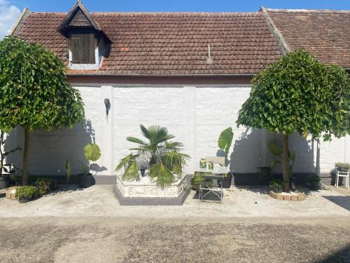 Vrsac Apartment | VIKI apartman