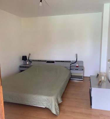 Stara Planina Apartment | Vila Andrej
