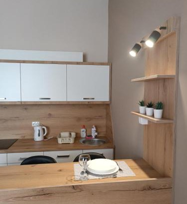 Becej Apartment | Vila Bor
