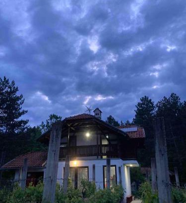 Central Serbia Resort | Vila Borjak