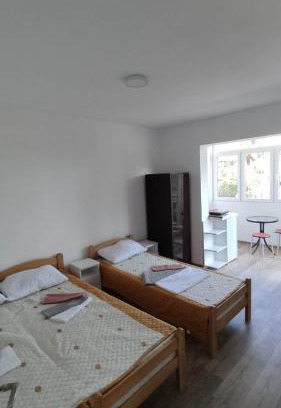 Gornja Trepca Apartment | Vila Dusica